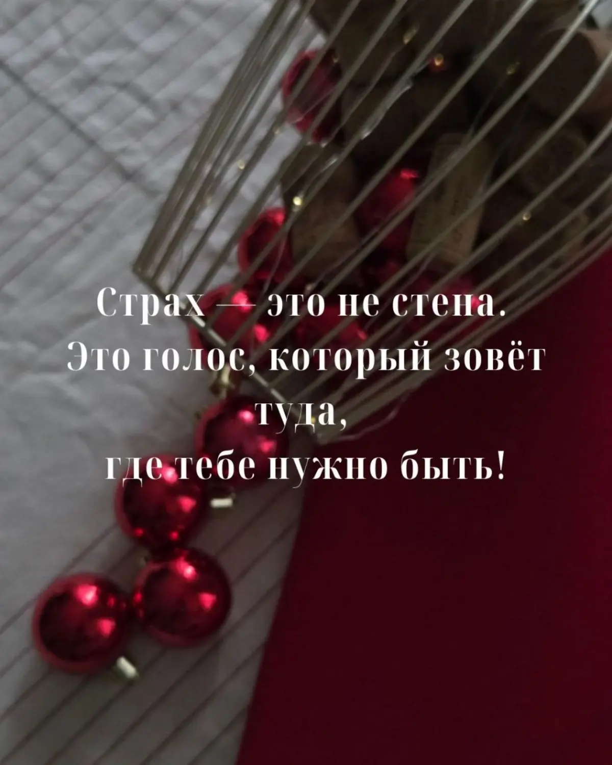 Страхи! | Сетка — социальная сеть от hh.ru