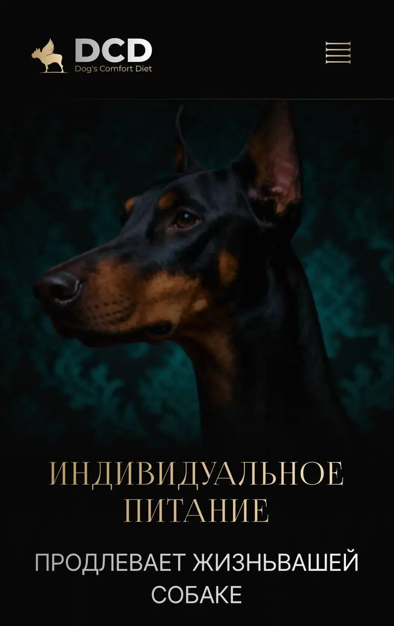 Кейс. Создание сайта для нового проекта премиального индивидуального питания для собак в Москве.
Задача была не просто «сделать сайт» | Сетка — социальная сеть от hh.ru