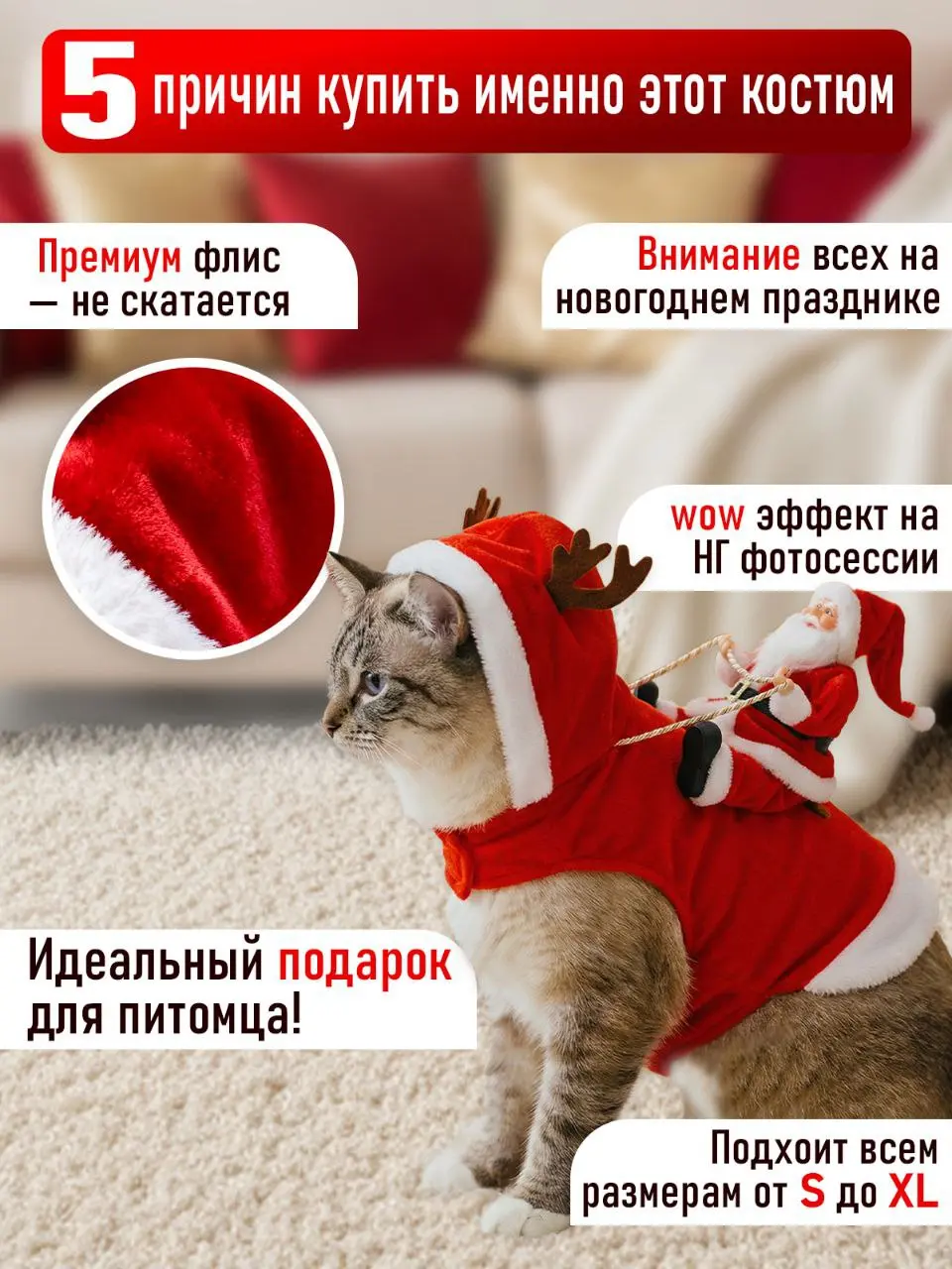 Инфографика | Сетка — социальная сеть от hh.ru