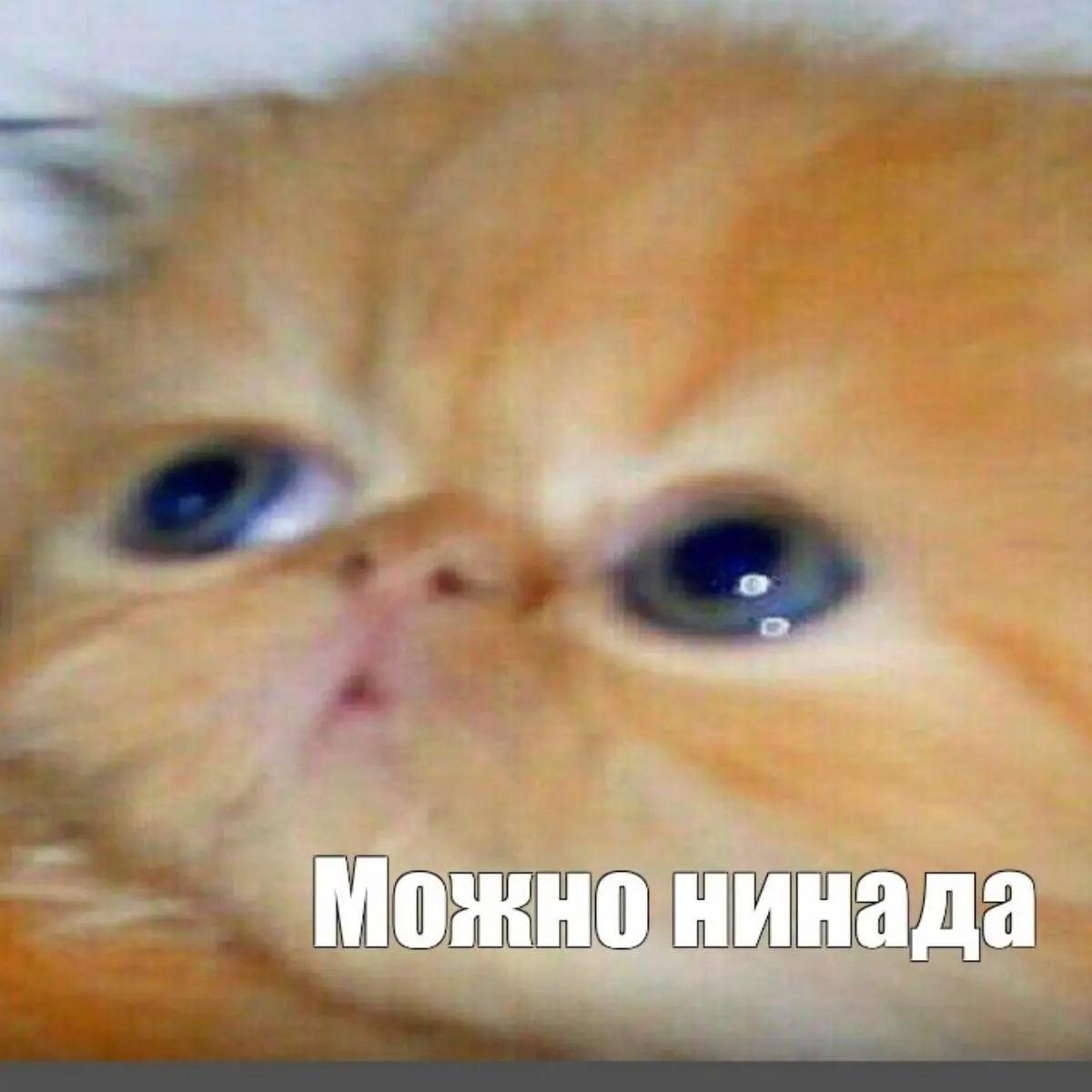 Руслан Бабаев
