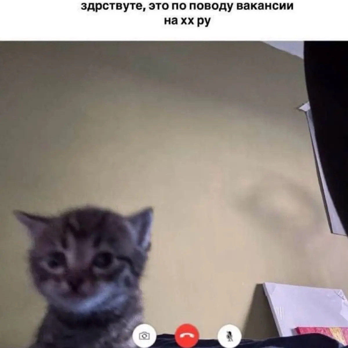 Катерина Романовна