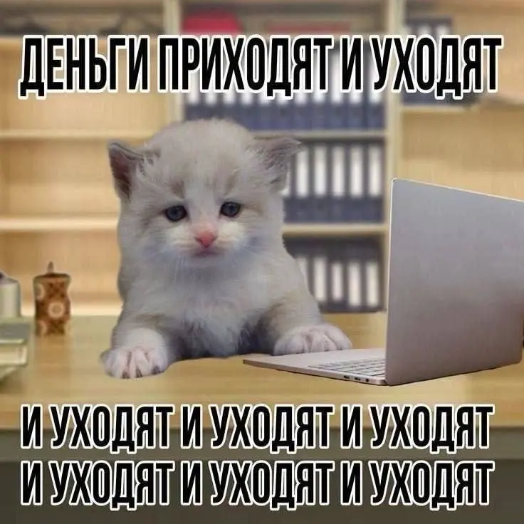 comment image