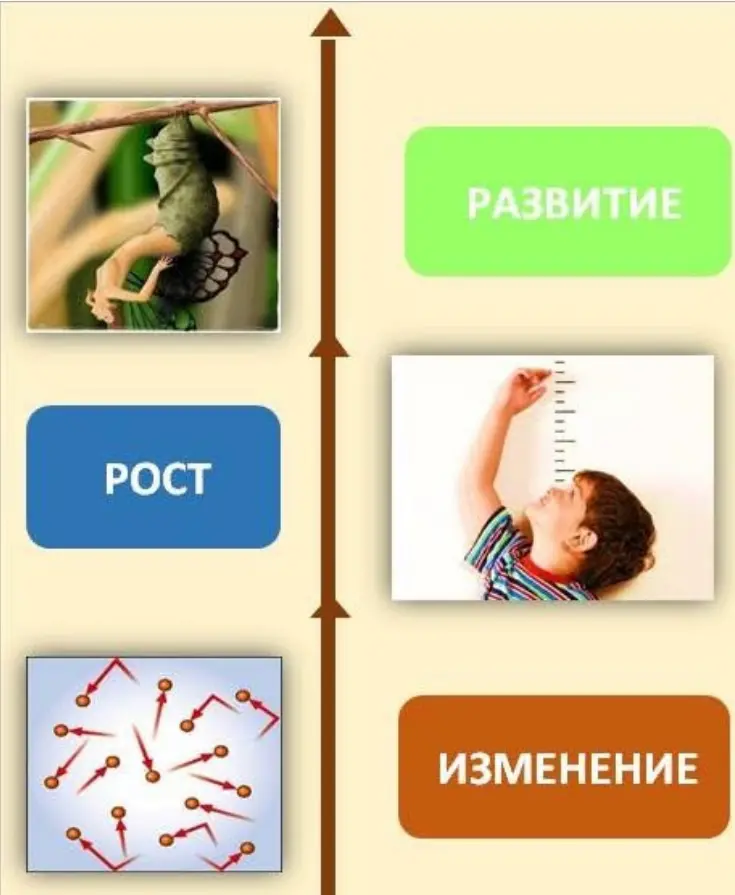 Личностный рост и развитие личности | Сетка — социальная сеть от hh.ru