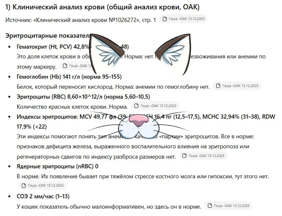 🌇 Промпты для жизни
Вторым пунктом по количеству голосов идет: примеры/промпты для использования ИИ в жизни.
Делюсь и примером и промптом :)
Как раз есть не банальный вариант | Сетка — социальная сеть от hh.ru