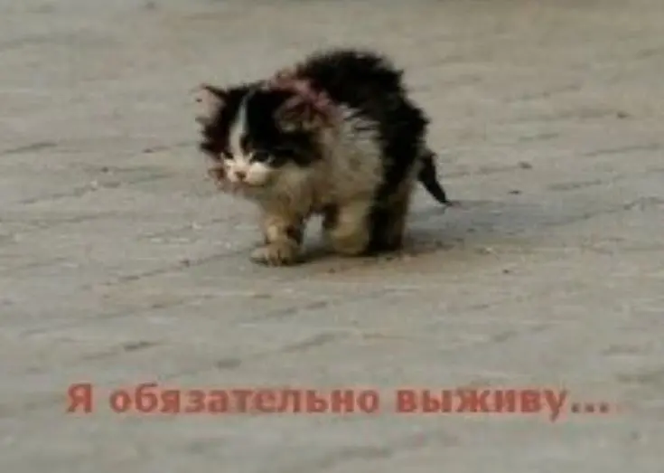 Кто надо поймёт. Это сигнал в космос. На большее не могу | Сетка — социальная сеть от hh.ru