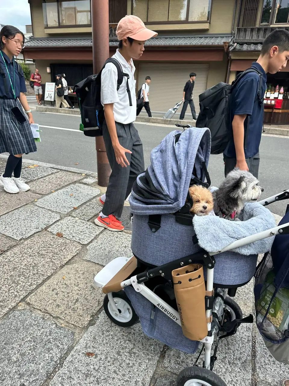 🇯🇵 Возвращаюсь в блог с постом, который задолжала с сентября. Была в Японии, но об оленях в Наре и перекрёстке Сибуя вам расскажут тревел-эксперты | Сетка — социальная сеть от hh.ru