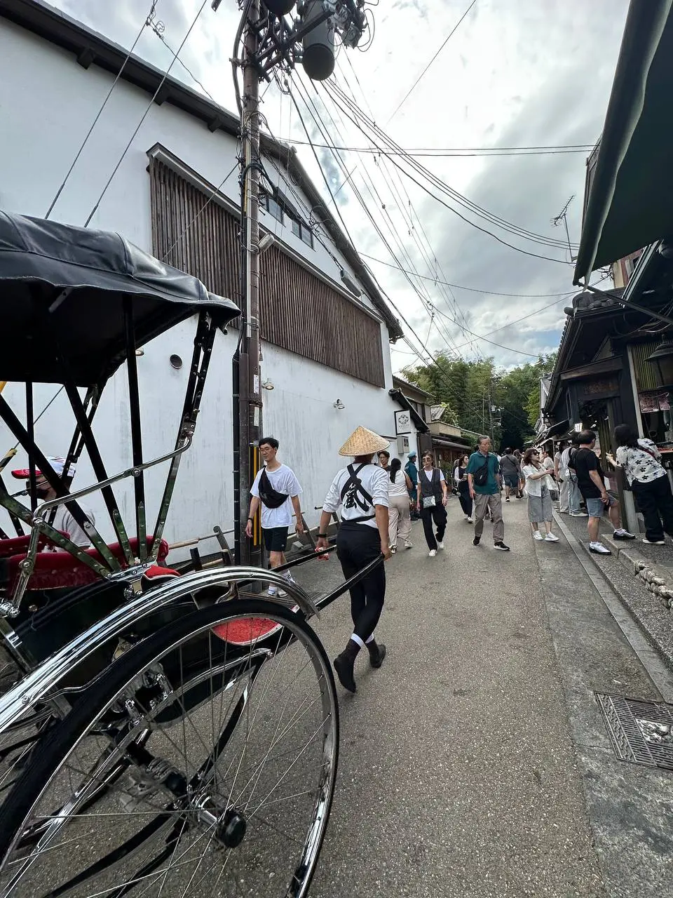 🇯🇵 Возвращаюсь в блог с постом, который задолжала с сентября. Была в Японии, но об оленях в Наре и перекрёстке Сибуя вам расскажут тревел-эксперты | Сетка — социальная сеть от hh.ru