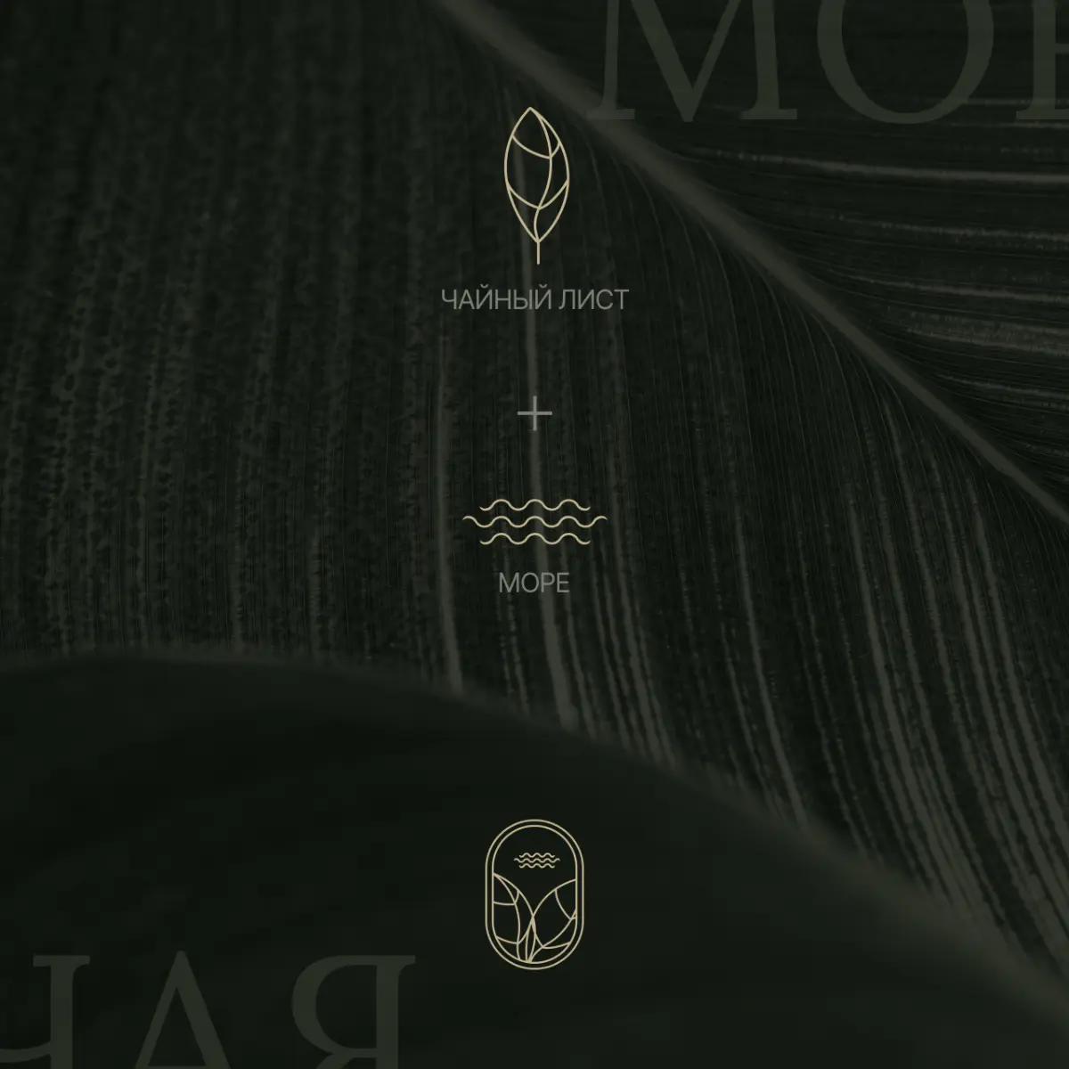 Ребрендинг магазинов чая | Сетка — социальная сеть от hh.ru