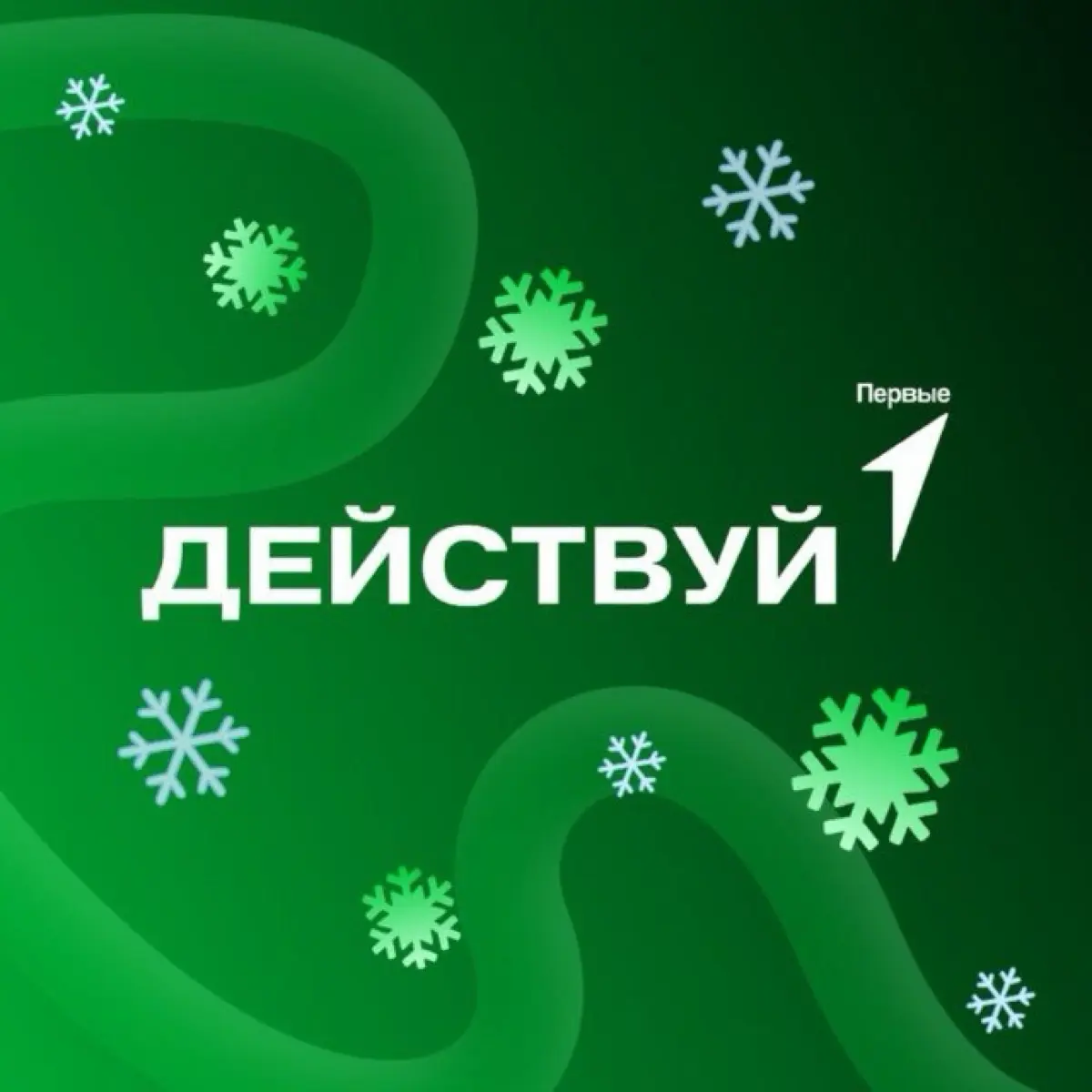 Общественный совет "Действуй" Сахалинской области