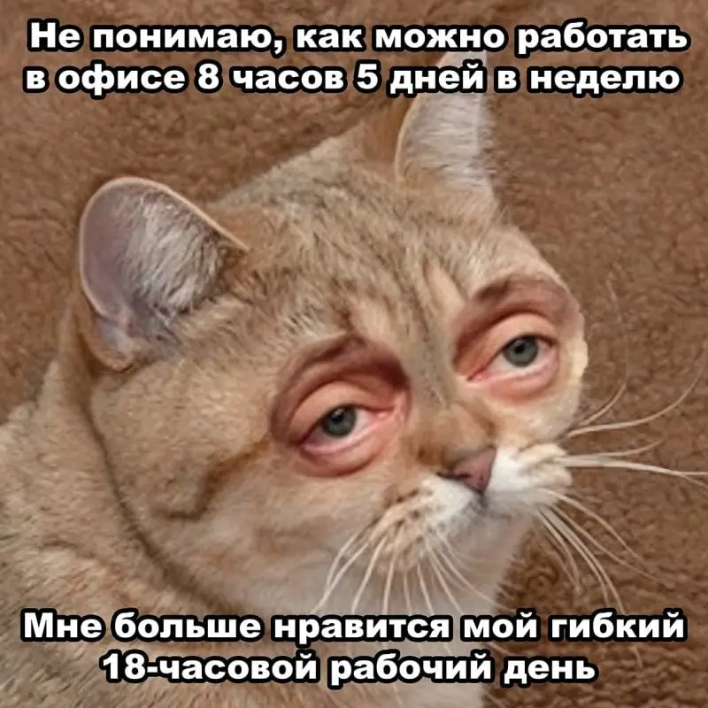 Длинные тексты всё сложнее воспринимать к концу года, давайте просто улыбнёмся солнышку.
Уже зашло, но оно точно где-то есть 😁 | Сетка — социальная сеть от hh.ru