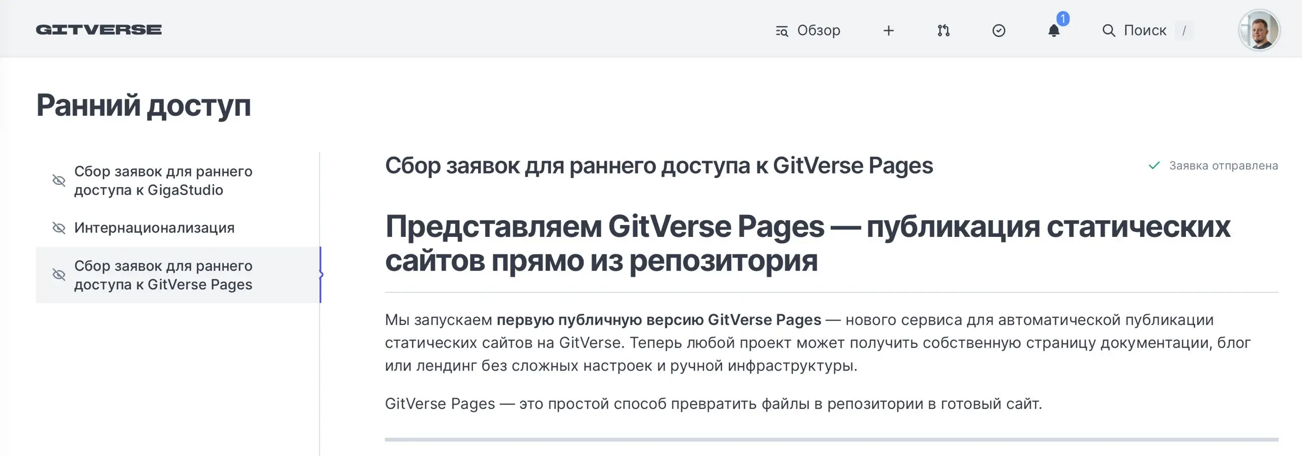 Отправил заявку на доступ к GitVerse Pages, судя по описанию, это как GitHub Pages, но от Git Verse.
Судя по описанию работает с Jekyll | Сетка — социальная сеть от hh.ru