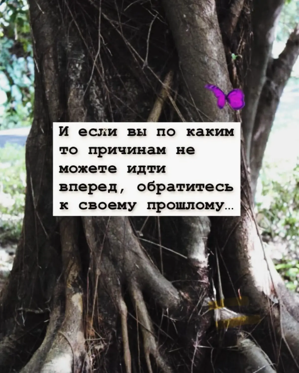 Anti suicidal fashion accessories brand «PROliфе» | Сетка — социальная сеть от hh.ru