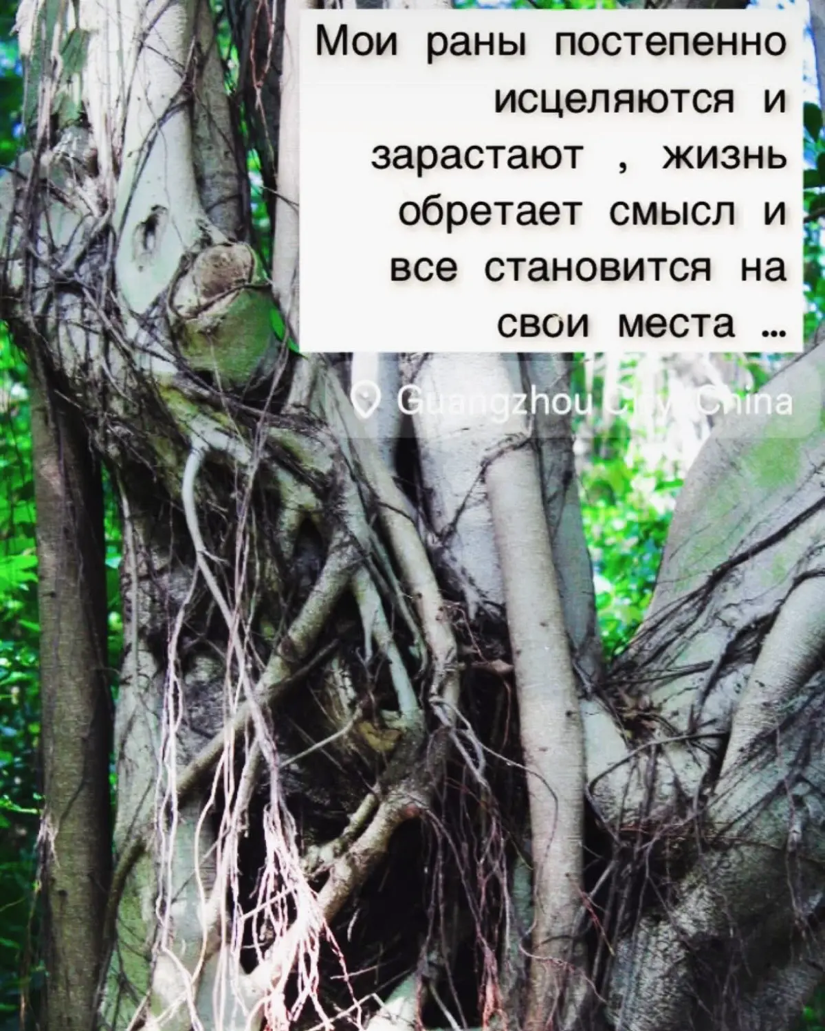 Anti suicidal fashion accessories brand «PROliфе» | Сетка — социальная сеть от hh.ru