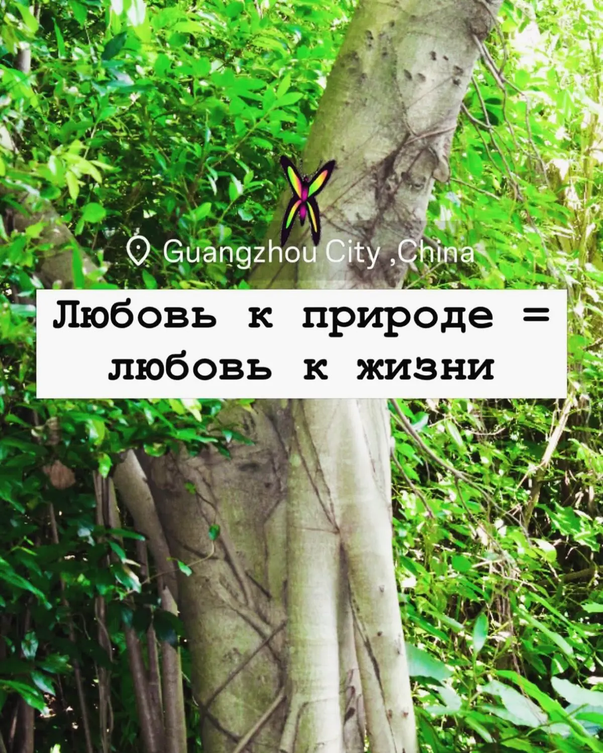 Anti suicidal fashion accessories brand «PROliфе» | Сетка — социальная сеть от hh.ru