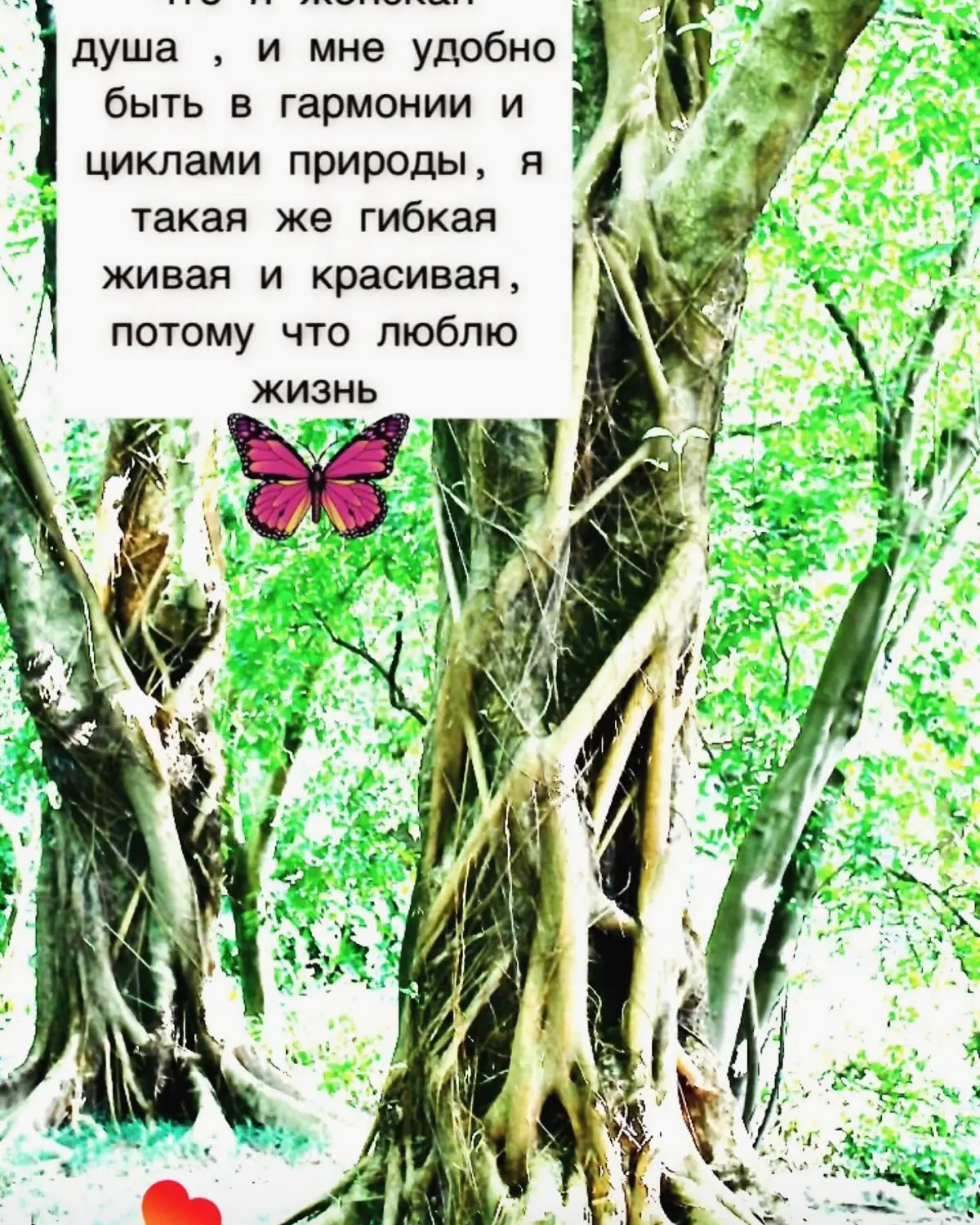 Anti suicidal fashion accessories brand «PROliфе» | Сетка — социальная сеть от hh.ru