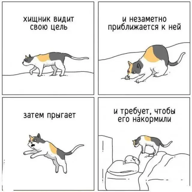 Самый быстрый путь к еде 😂
От любимого клиента Елены ❤️
#Юмор@poldner #Коты@poldner | Сетка — социальная сеть от hh.ru