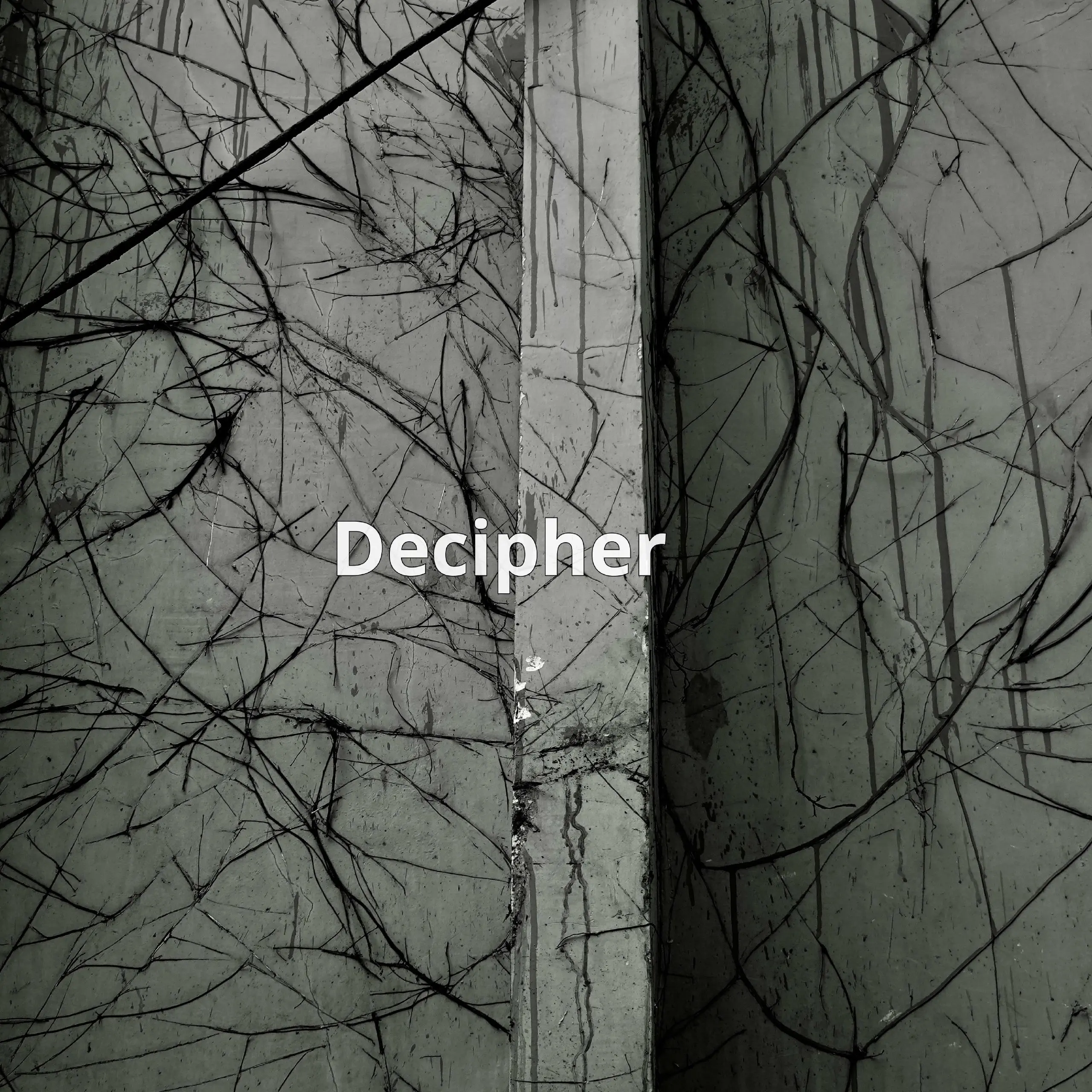 Decipher – это инструмент для тех, кто хочет упростить загрузку и оптимизацию своих продуктов. Загружайте сотни изображений товаров, и получать SEO-заголовки, описания и теги автоматически | Сетка — социальная сеть от hh.ru