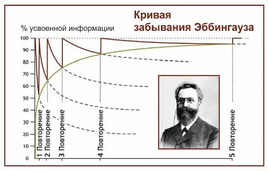 Кто Вы, Генрих Эббингауз? 🧐 | Сетка — социальная сеть от hh.ru