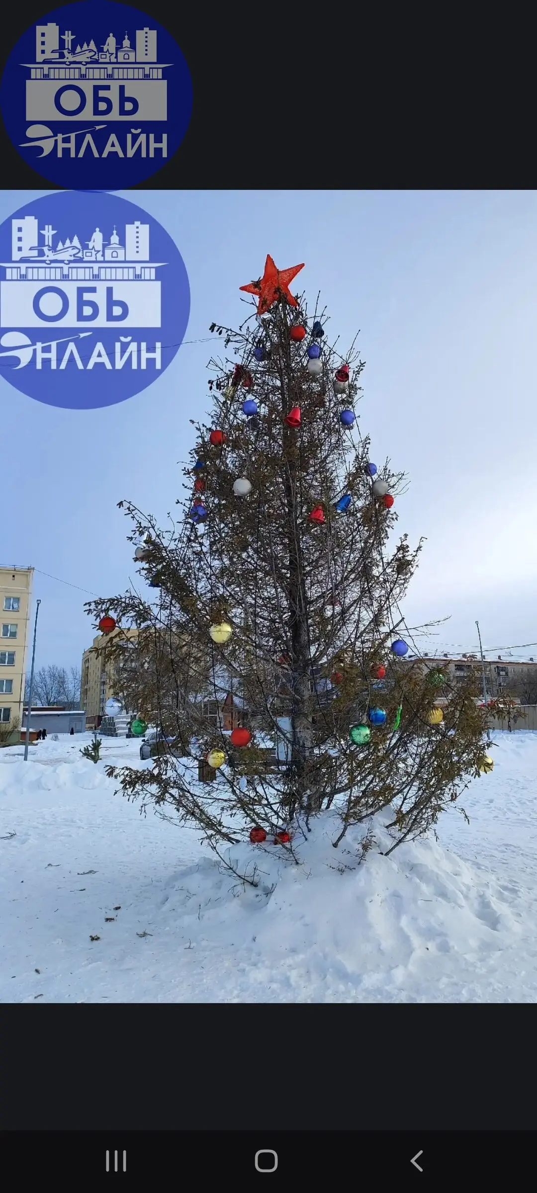 ↗ 1 фото ёлка в парке "Геофизик".
2 фото ёлка на ул. "Максима Горького".
Администрация , к Вам вопрос, зачем украсили засохшую ёлку?
vk.ru
Подробнее на https://vk.com/ob | Сетка — социальная сеть от hh.ru