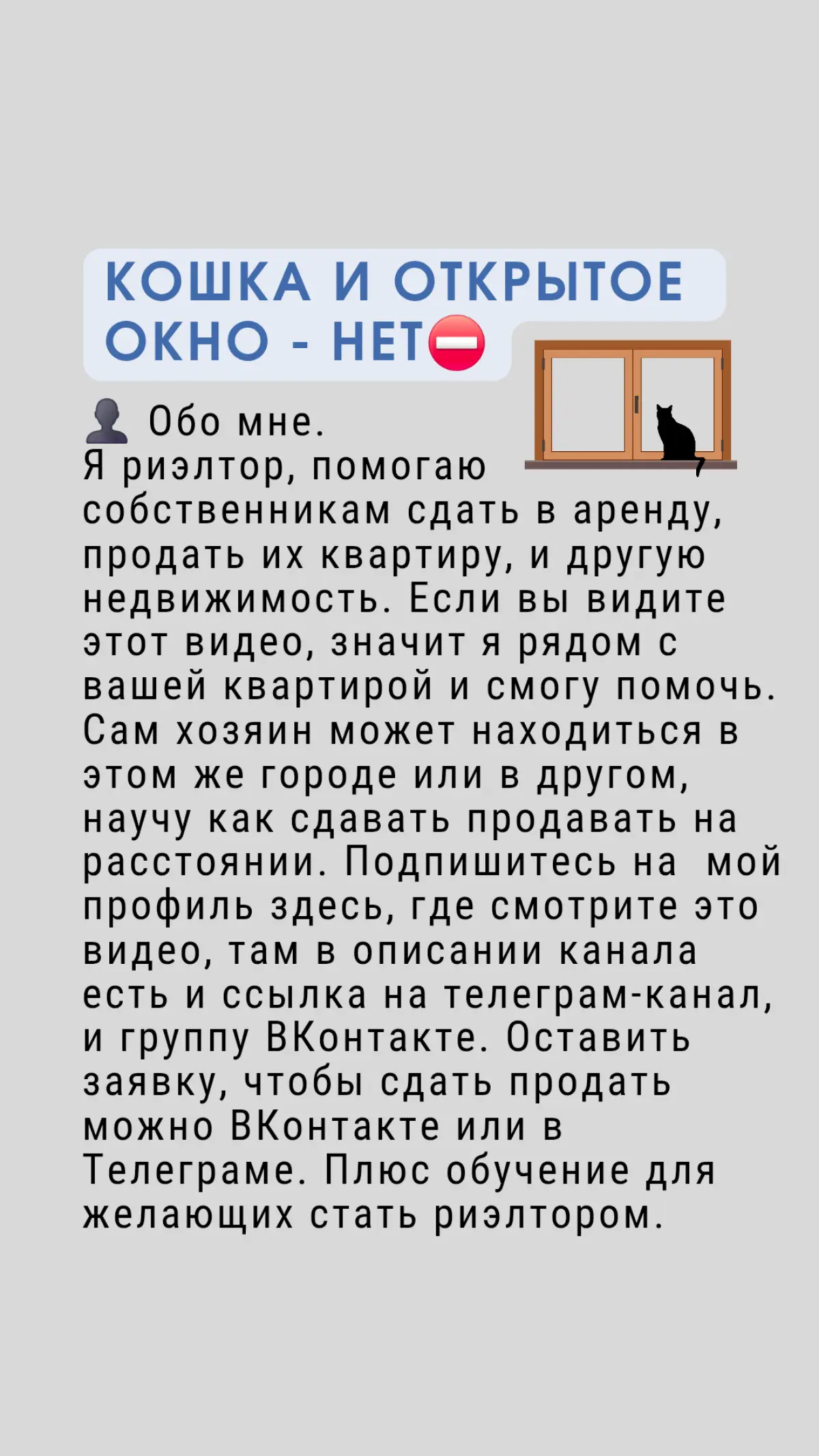 Кошка и открытое окно - нет | Сетка — социальная сеть от hh.ru