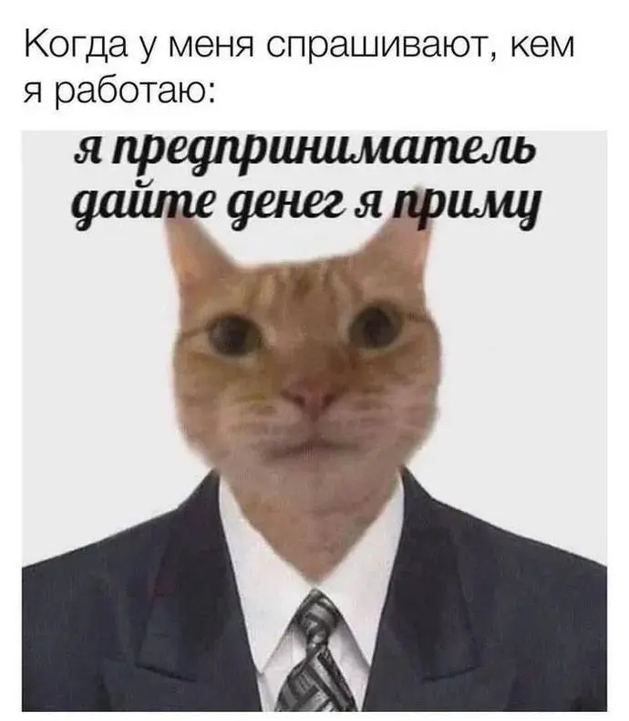 Так так таааак!!! Я теперь официально бизнесвуман 💅💅💅 теперь мне смешны только шутки про бизнес! | Сетка — социальная сеть от hh.ru