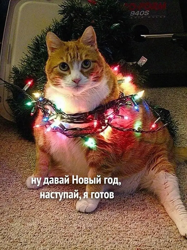 Кажется, я на значительный такой срок запустила канал....
И на это есть логичное, как мне кажется, объяснение.
На данный момент я погрязла в профессиональном "порыве" | Сетка — социальная сеть от hh.ru