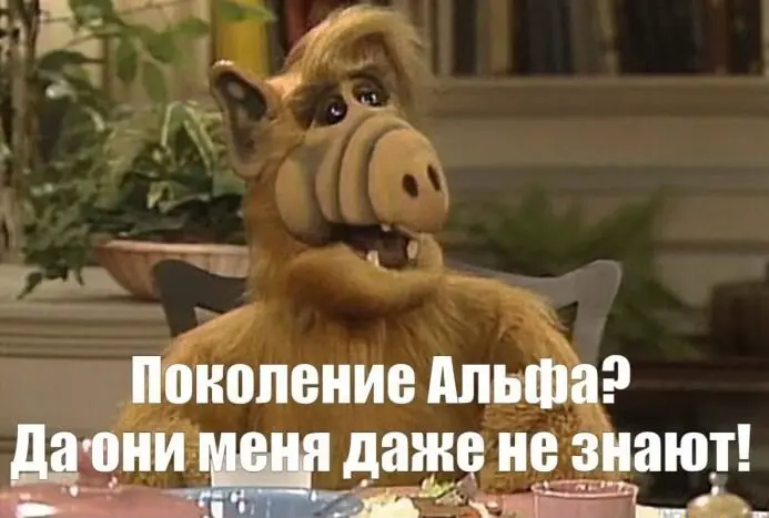 Готовы ли вы нанимать поколение Альфа? | Сетка — социальная сеть от hh.ru