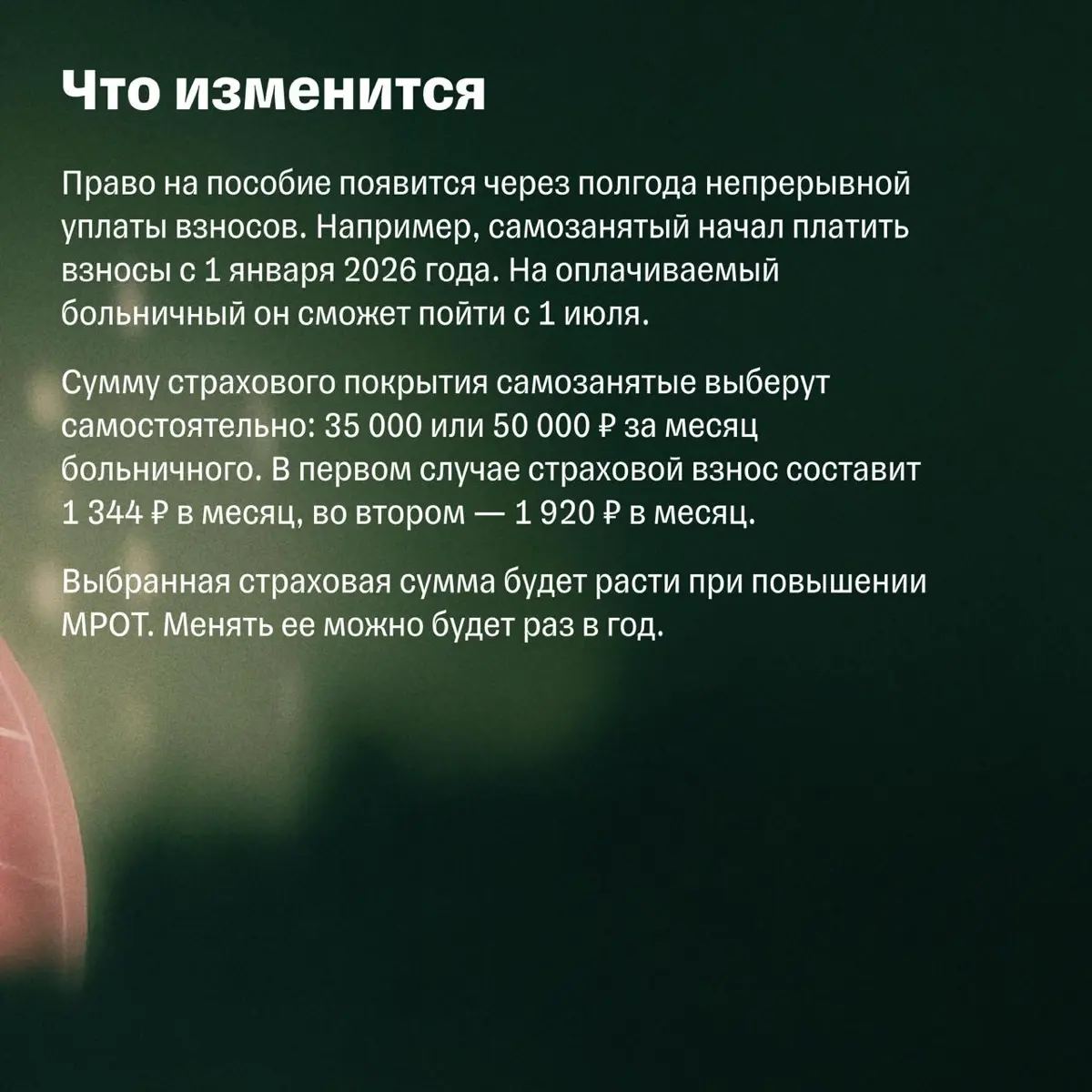 💊 Оплачивают ли больничный самозанятым и как его оформить | Сетка — социальная сеть от hh.ru