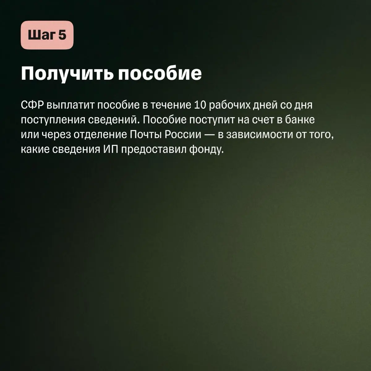 💊 Оплачивают ли больничный самозанятым и как его оформить | Сетка — социальная сеть от hh.ru