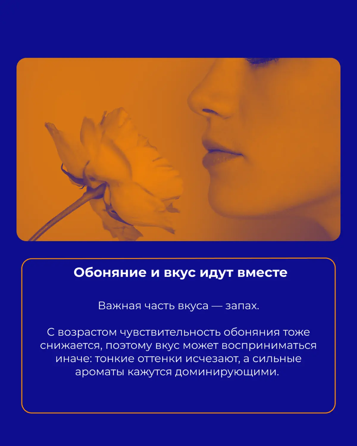 Вы тоже ненавидели оливки в детстве? | Сетка — социальная сеть от hh.ru