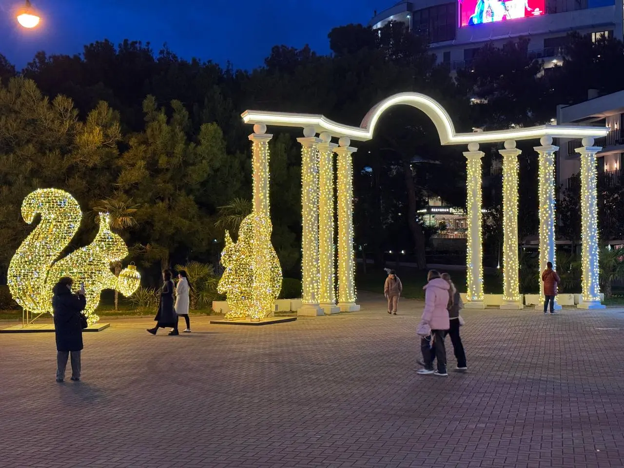 Геленджик утопает в новогодней магии! 🎄🌟 Главная ёлка на площади сверкает огнями, а по всему городу установлены очаровательные шишки и белочки из лампочек | Сетка — социальная сеть от hh.ru