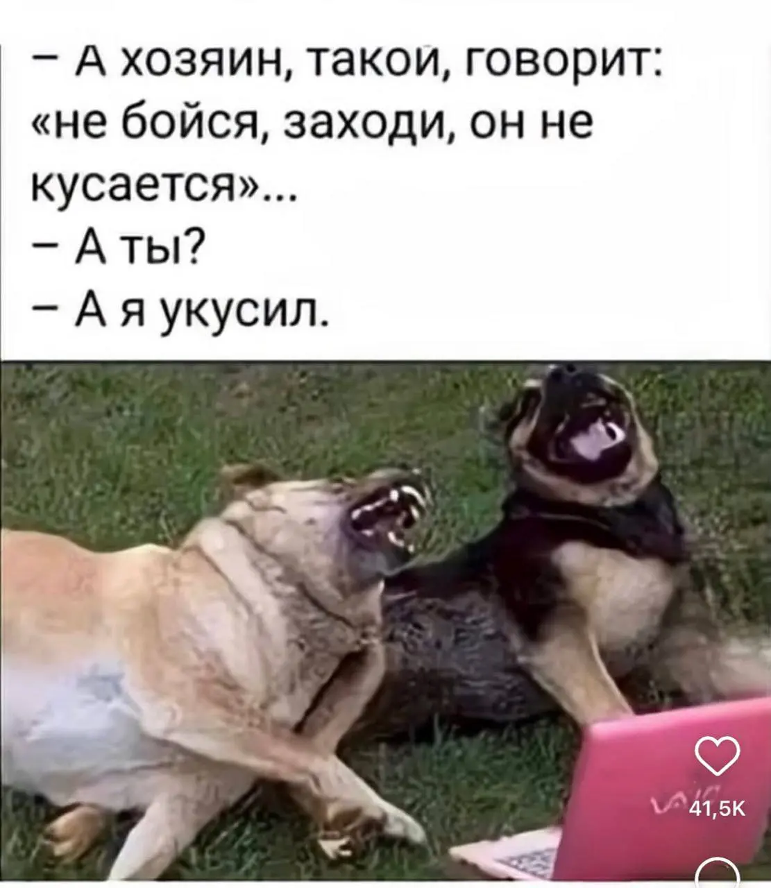 Сильно смеюсь с этой картинки 😂
Марс, конечно, никого не кусал, но чисто в теории я себе представляю такую ситуацию. | Сетка — социальная сеть от hh.ru