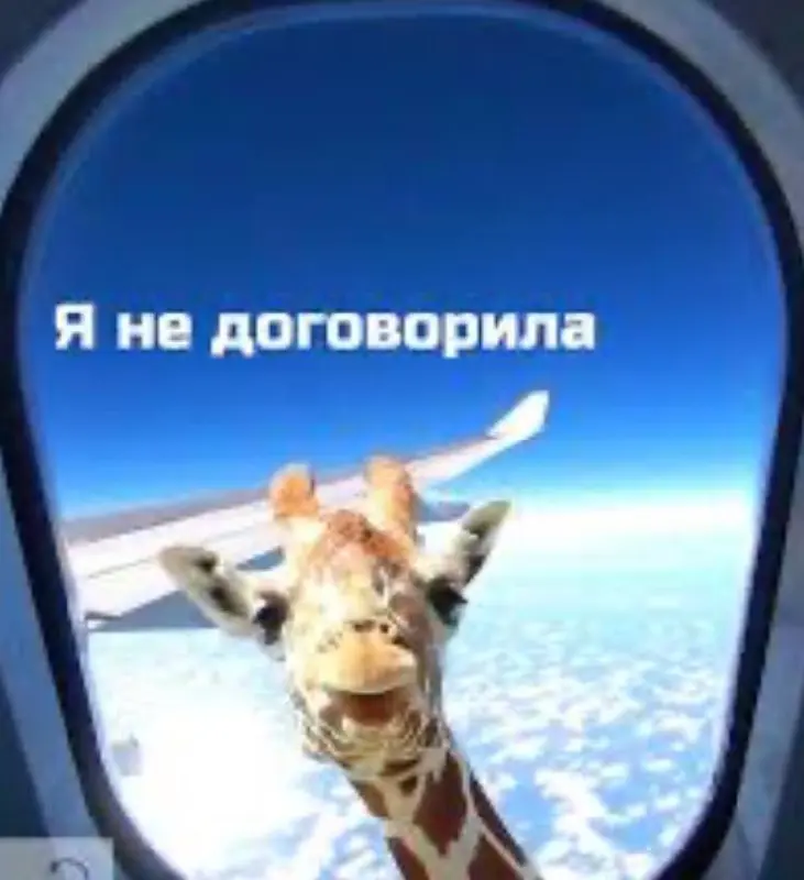 Я так поняла истории зашли ))), тогда ближайшие дни подостаю из своих 20 лет немного , история вторая )))
«Мой самый токсичный клиент. Я терпела его 14 месяцев»
Он не кричал.
Это важно | Сетка — социальная сеть от hh.ru
