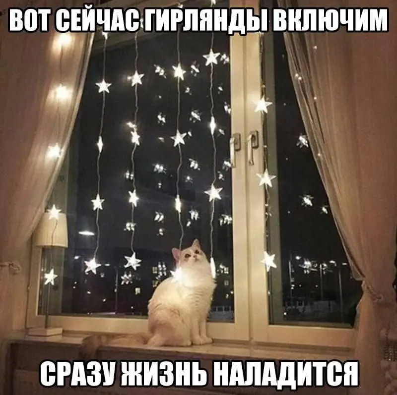 Гирлянда все исправит 😂
#Юмор@poldner #Коты@poldner | Сетка — социальная сеть от hh.ru