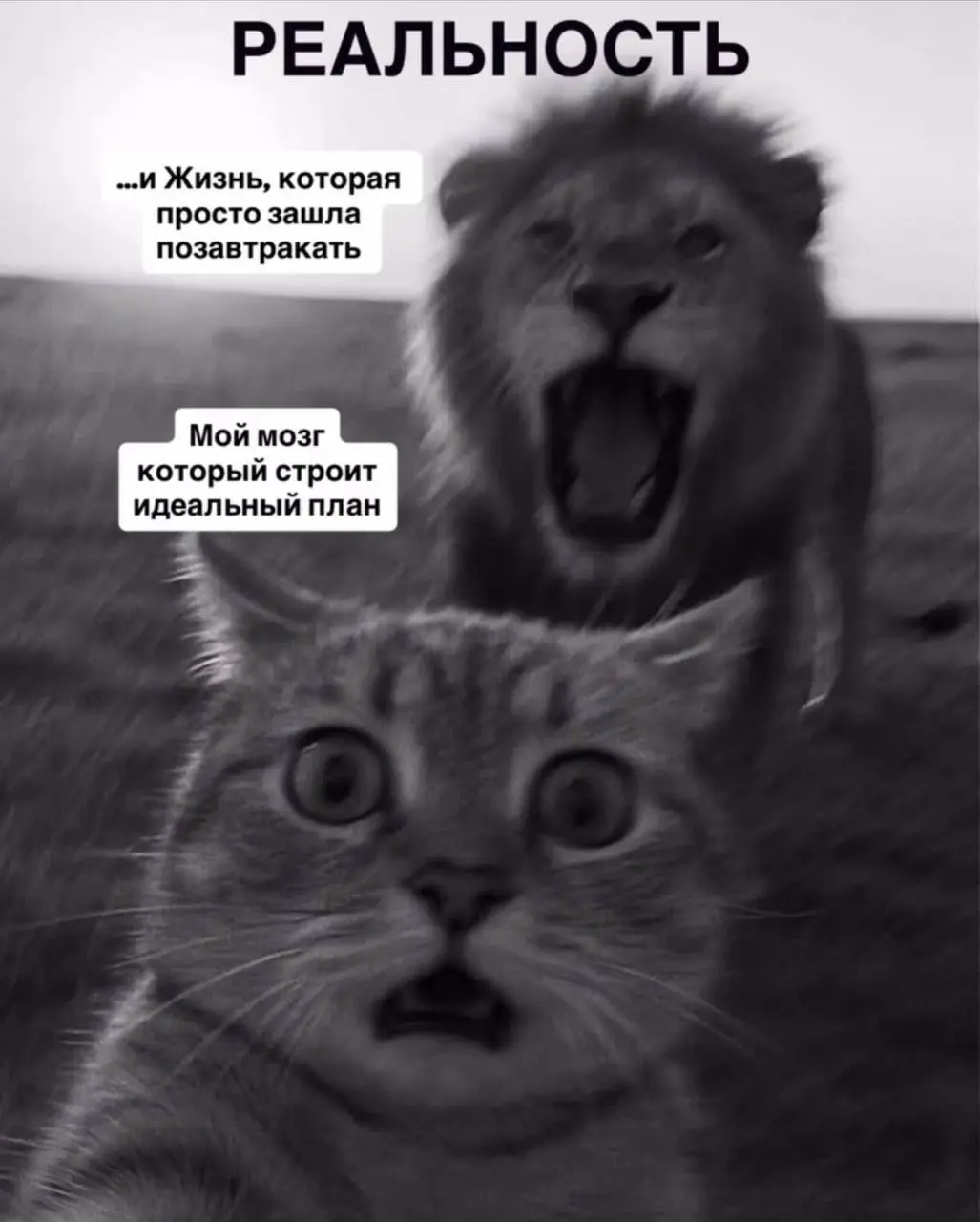 О Жизни, и о том, как она с нами говорит
Я заметила одну странную, но очень честную закономерность
Жизнь, она как вода, она всегда течет
И если ты сам не прокладываешь свое русло
Она начинает пробиват... | Сетка — социальная сеть от hh.ru