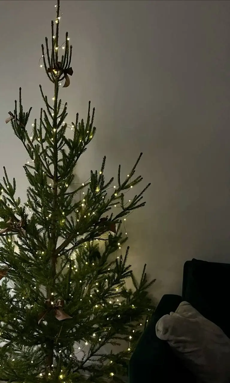 🌲Более 250 елочных базаров открылось в Москве
Работать они будут до 31 декабря
Подробнее
📲Подпишитесь на Вдвижении
#активныйотдых
В этом посте были ссылки, но мы их удалили по правилам Сетки | Сетка — социальная сеть от hh.ru