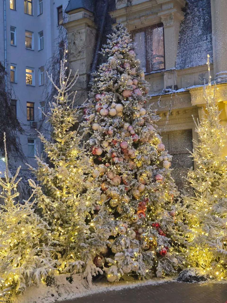 ❄️Сказочный уголок в Москве
📍Трехпрудный переулок, 15
📲Подпишитесь на Вдвижении
#бесплатно
В этом посте были ссылки, но мы их удалили по правилам Сетки | Сетка — социальная сеть от hh.ru