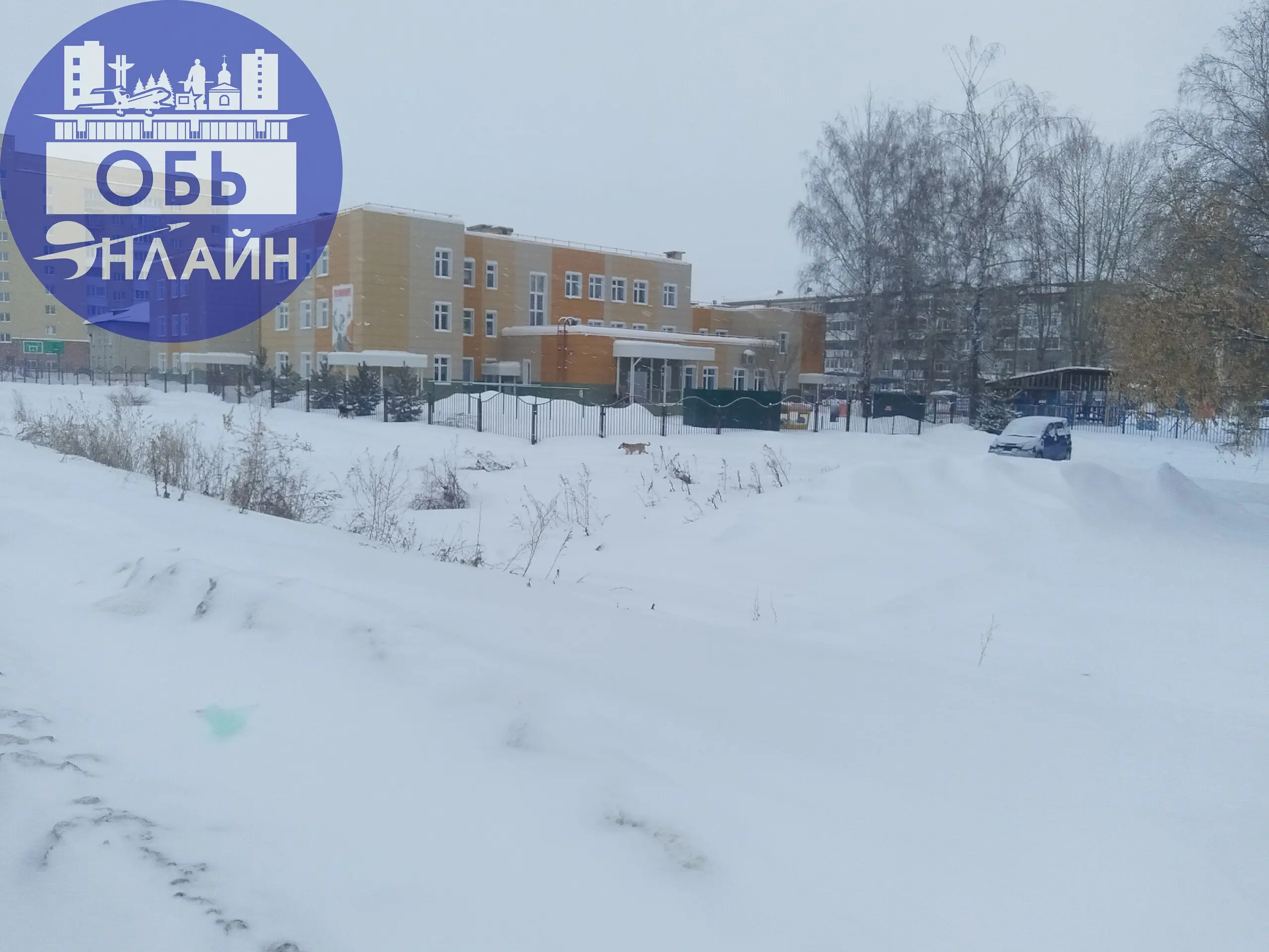 ↗ По Геодезии бегают собаки, которые кидаются на маленьких собак | Сетка — социальная сеть от hh.ru