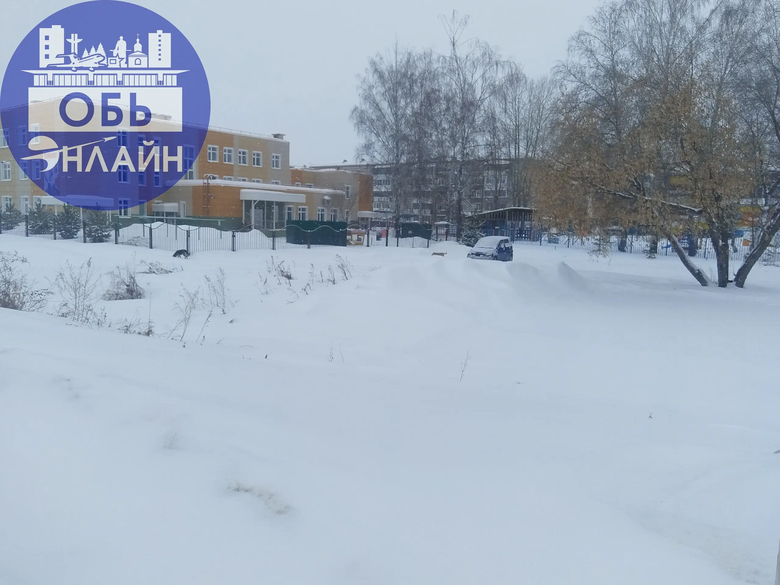 ↗ По Геодезии бегают собаки, которые кидаются на маленьких собак | Сетка — социальная сеть от hh.ru