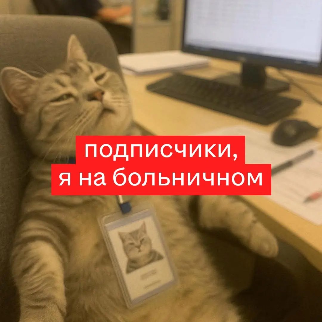 Разбирайте луки для своего профиля на время дей-оффа 💅🏻 | Сетка — социальная сеть от hh.ru