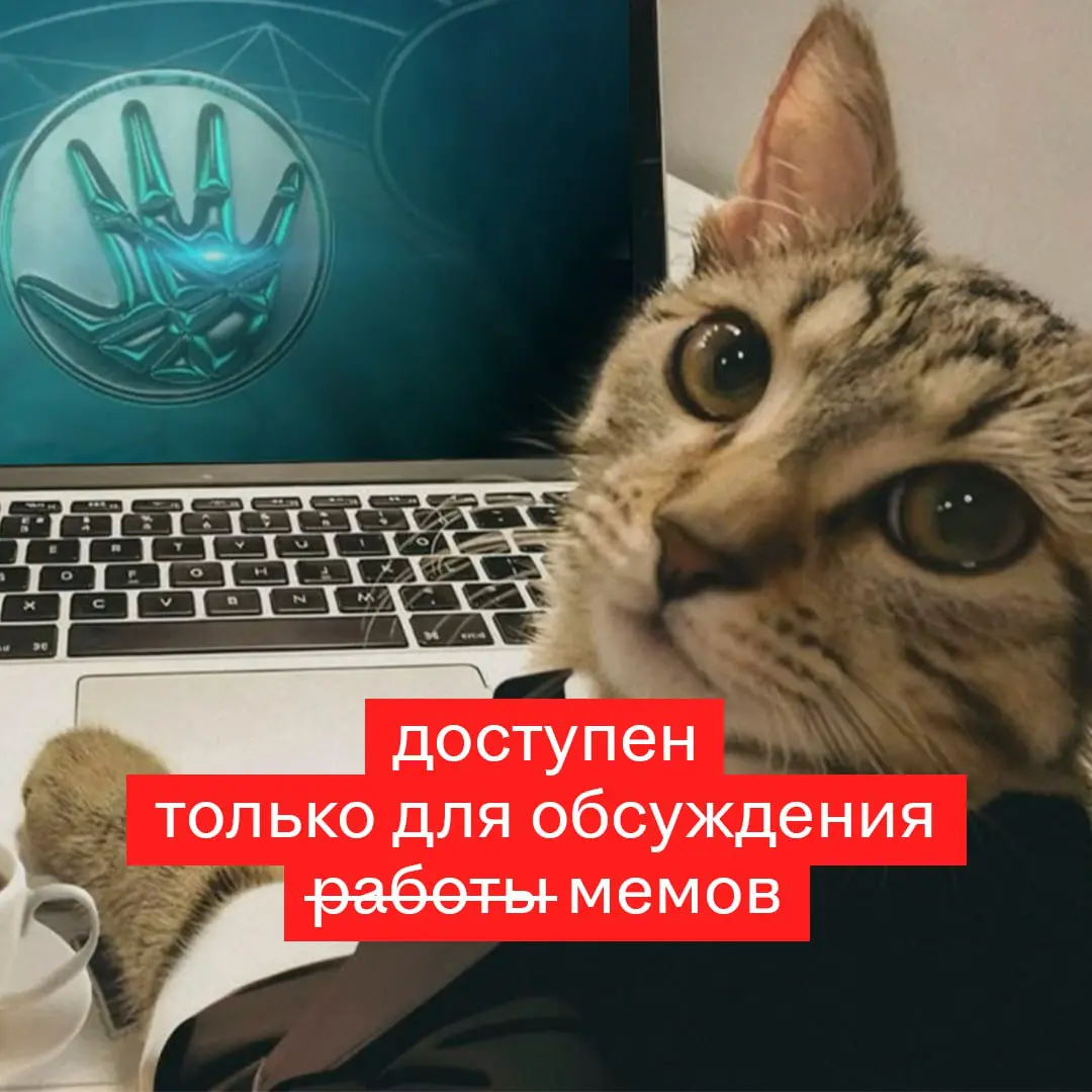 Разбирайте луки для своего профиля на время дей-оффа 💅🏻 | Сетка — социальная сеть от hh.ru
