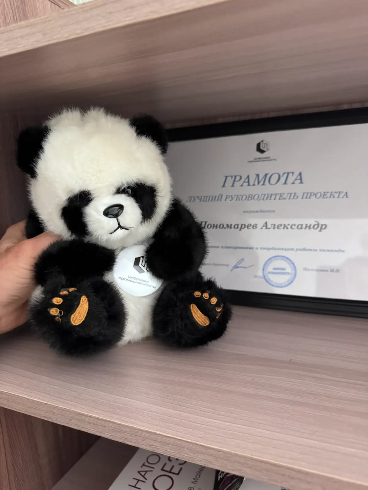 Приятности 🤗 | Сетка — социальная сеть от hh.ru