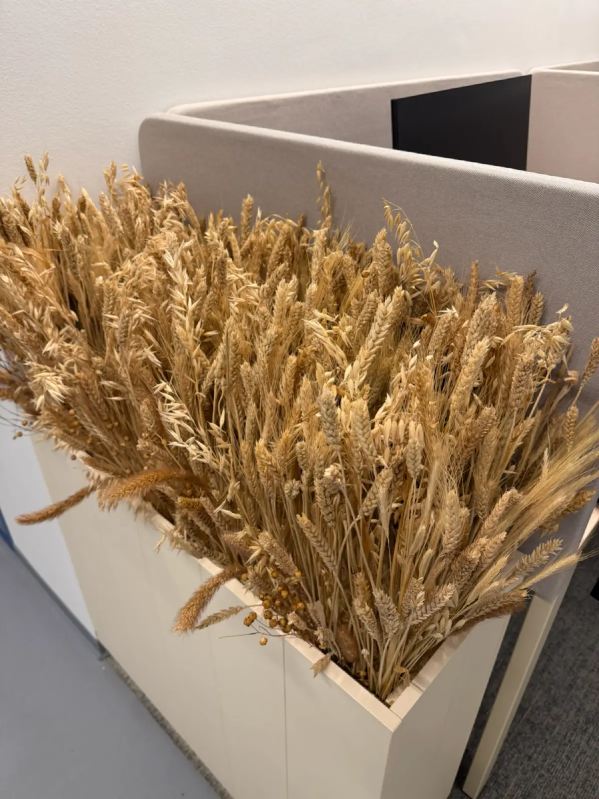 Забежал на неделе на митап | Сетка — социальная сеть от hh.ru