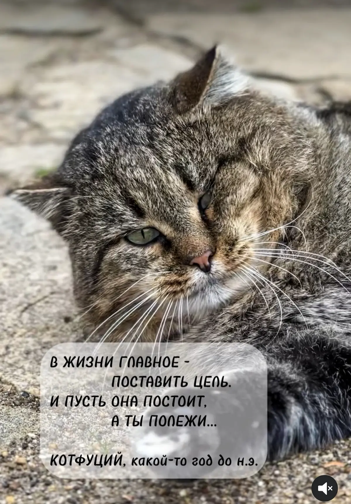 ПРЕДНОВОГОДНИЙ МЕМ ✨🥂 | Сетка — социальная сеть от hh.ru