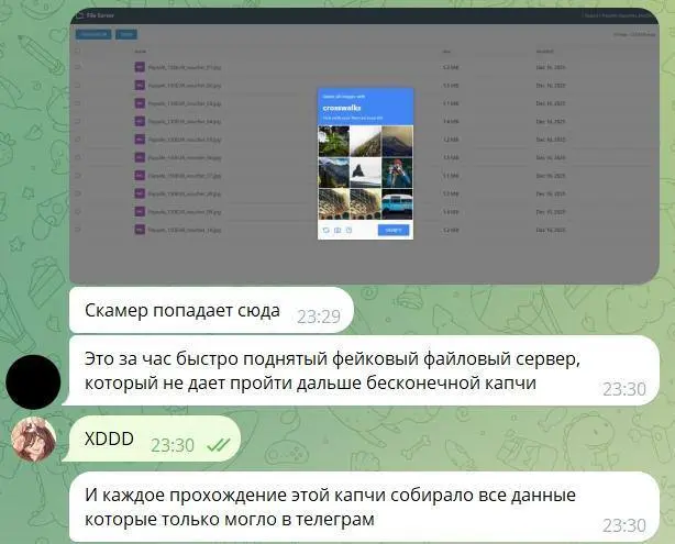 Российские айтишники довели мошенника до истерики с помощью обычной капчи | Сетка — социальная сеть от hh.ru