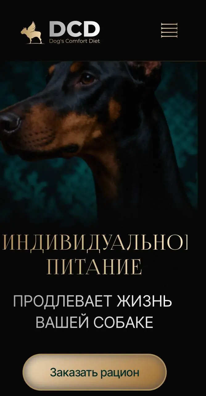 Кейс. Создание сайта для нового проекта премиального индивидуального питания для собак в Москве.
Задача была не просто «сделать сайт» | Сетка — социальная сеть от hh.ru