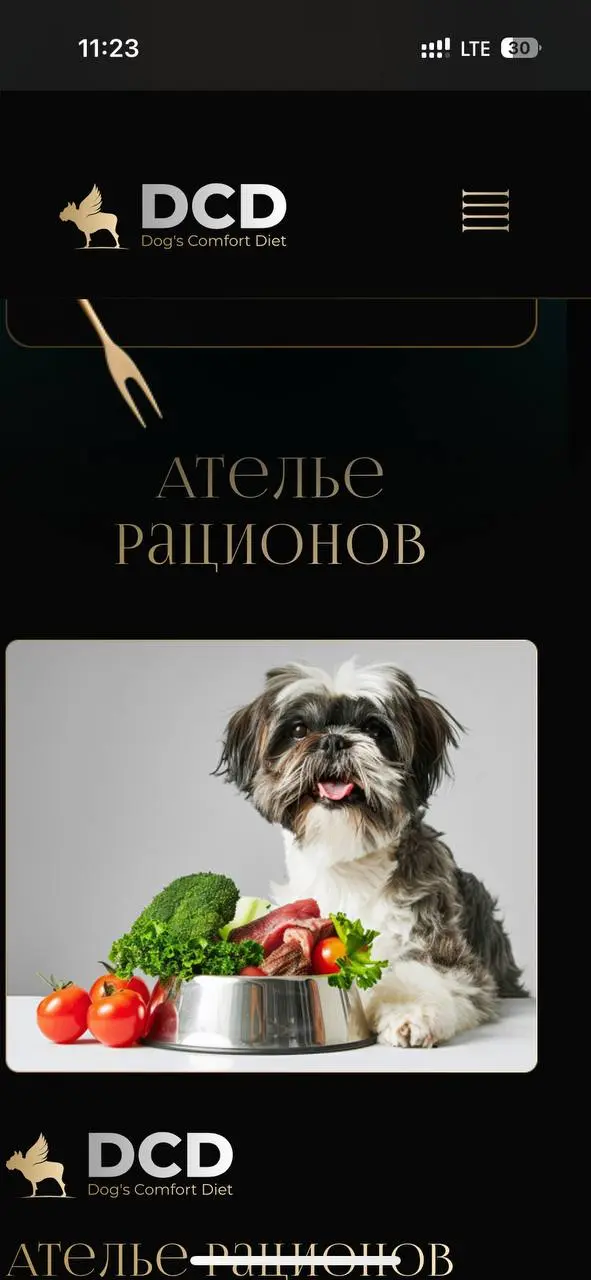 Кейс. Создание сайта для нового проекта премиального индивидуального питания для собак в Москве.
Задача была не просто «сделать сайт» | Сетка — социальная сеть от hh.ru