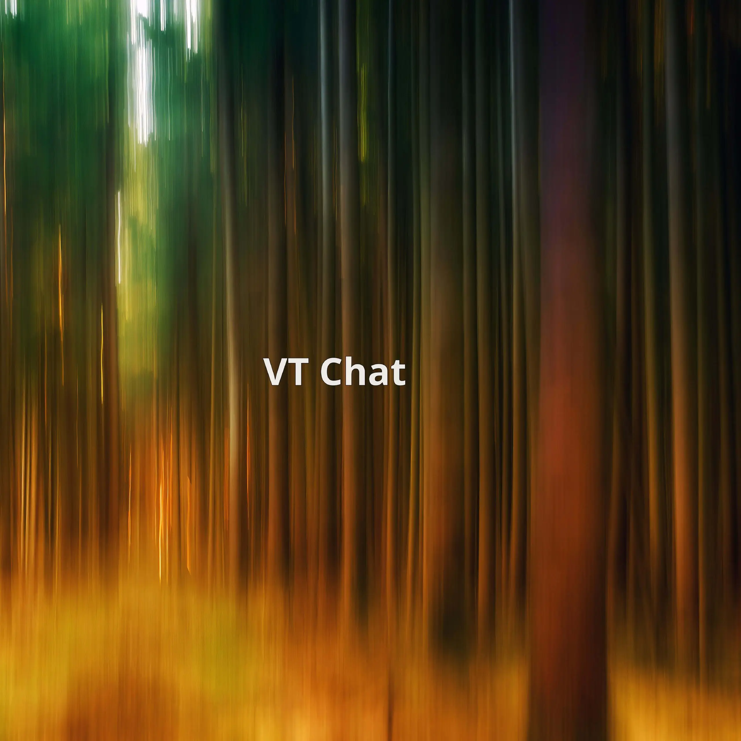 VT Chat — это приватное AI-чат-приложение, которое сохраняет ваши разговоры в локальном режиме | Сетка — социальная сеть от hh.ru
