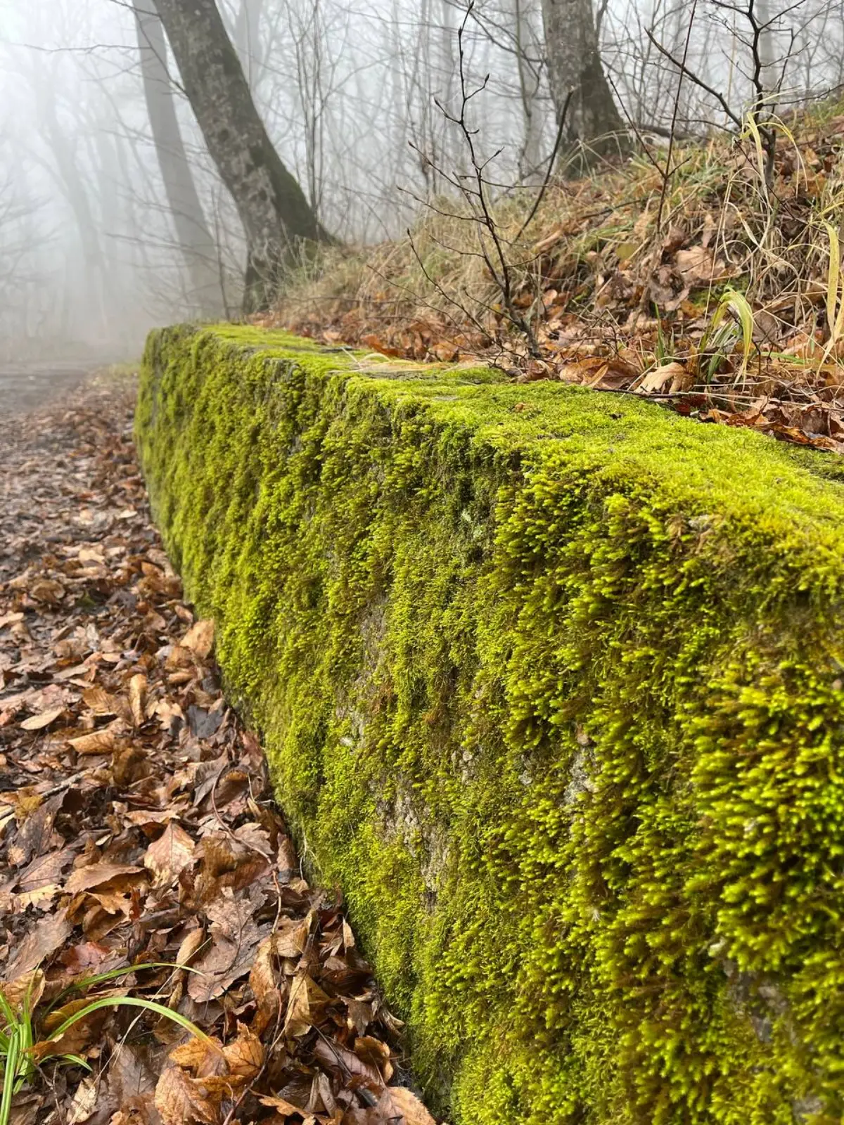 ❄️🧤 Зимнее солнцестояние в Железноводске: встретьте волшебство в уютной квартире!
⭐️ Сегодня — самый короткий день в году, а в 18:03 наступит зимнее солнцестояние! ✨
Представьте: вы только что вернули... | Сетка — социальная сеть от hh.ru