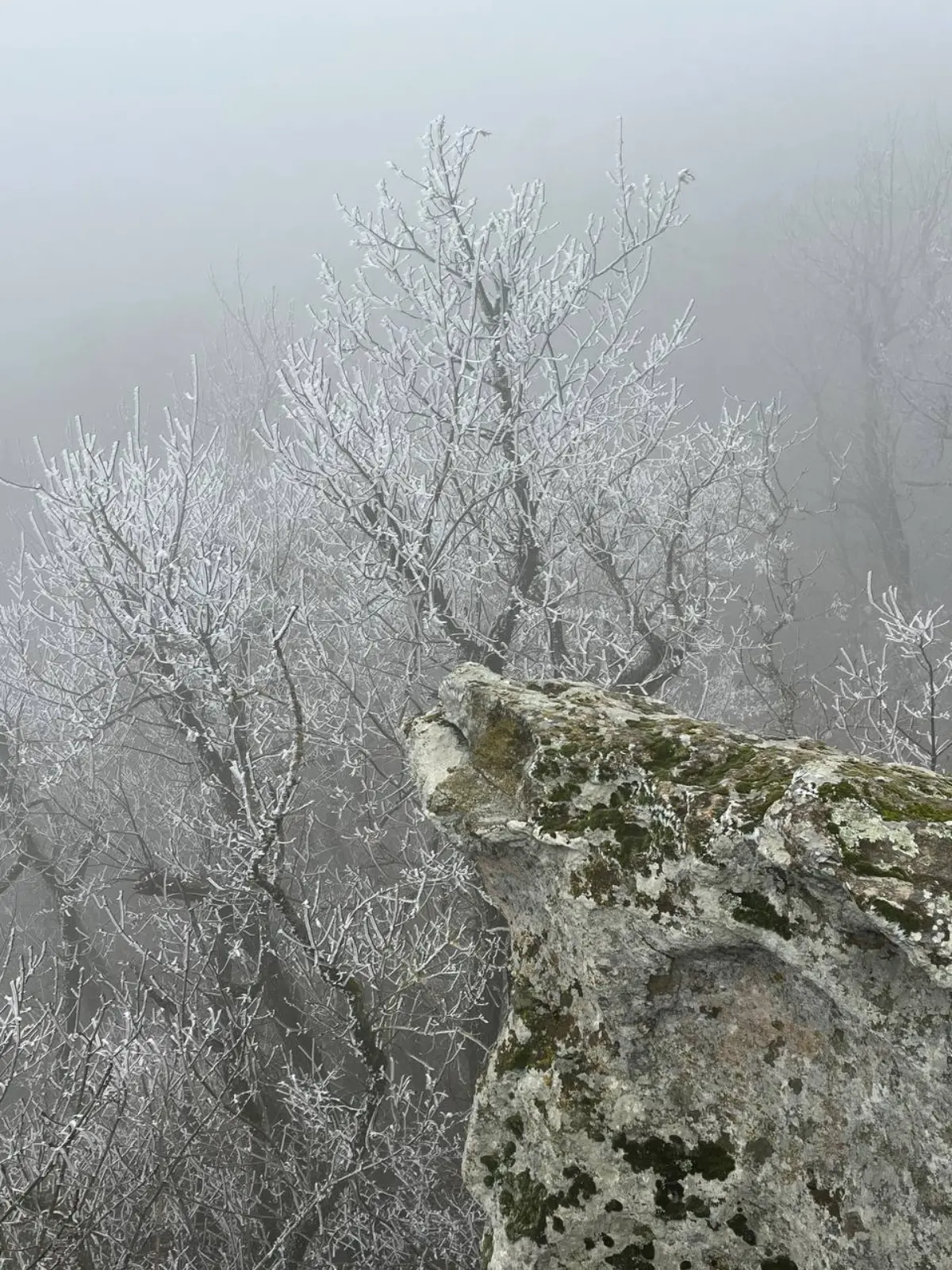❄️🧤 Зимнее солнцестояние в Железноводске: встретьте волшебство в уютной квартире!
⭐️ Сегодня — самый короткий день в году, а в 18:03 наступит зимнее солнцестояние! ✨
Представьте: вы только что вернули... | Сетка — социальная сеть от hh.ru